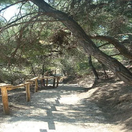 Thea מלון פוסידי